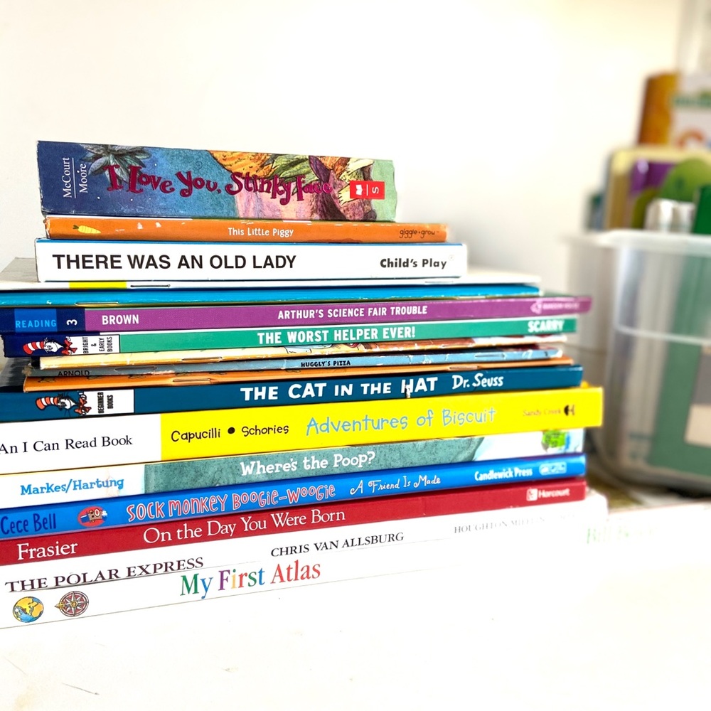 Children’s Mystery Book Bundle Kids lot